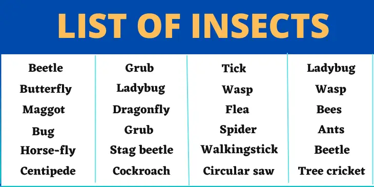 Insects Starting With A To Z